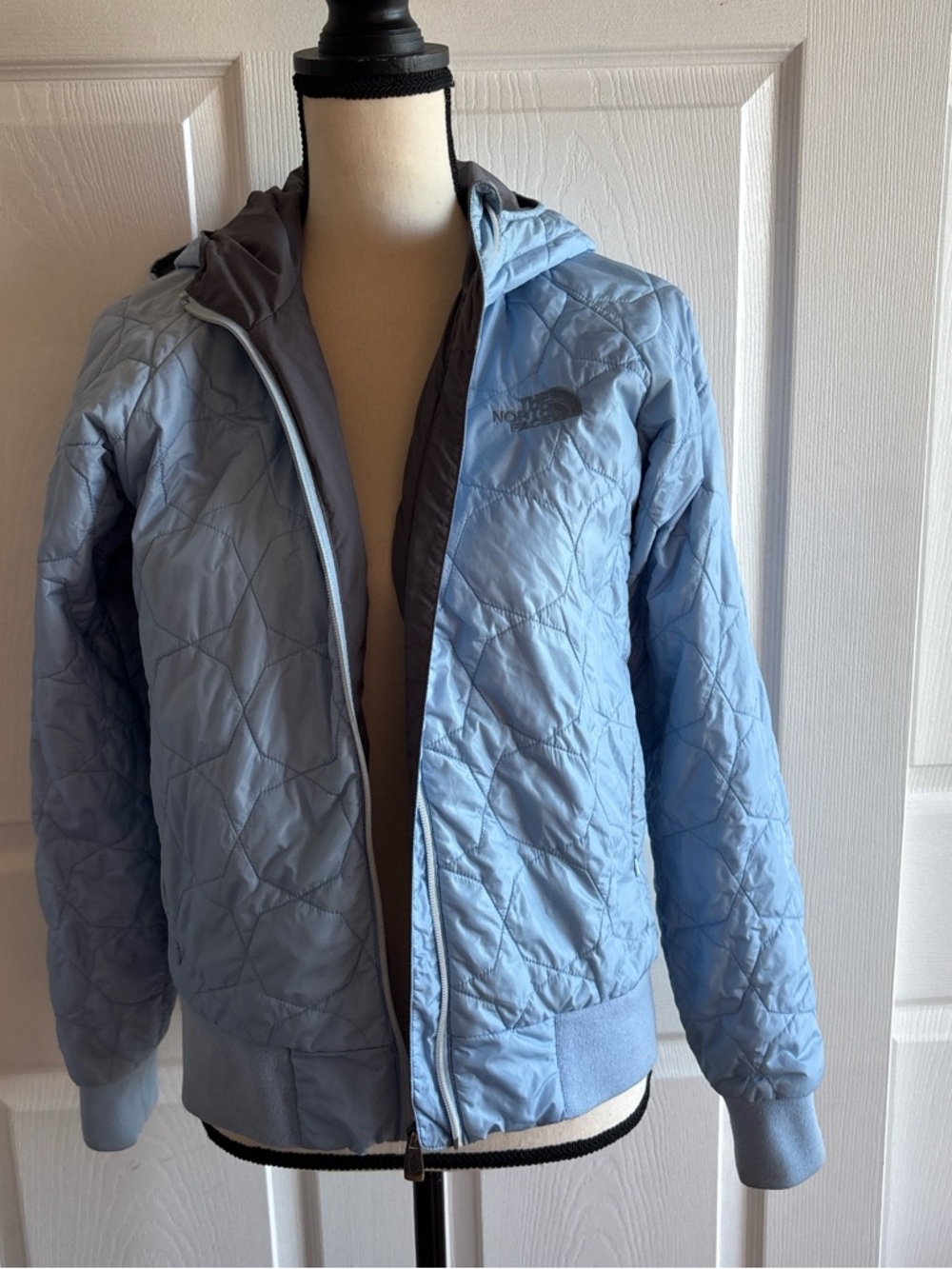 The North Face Powder Blue Quilted Hooded Jacket